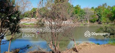 ขาย - วัดบางปลาหมอ, พระนครศรีอยุธยา