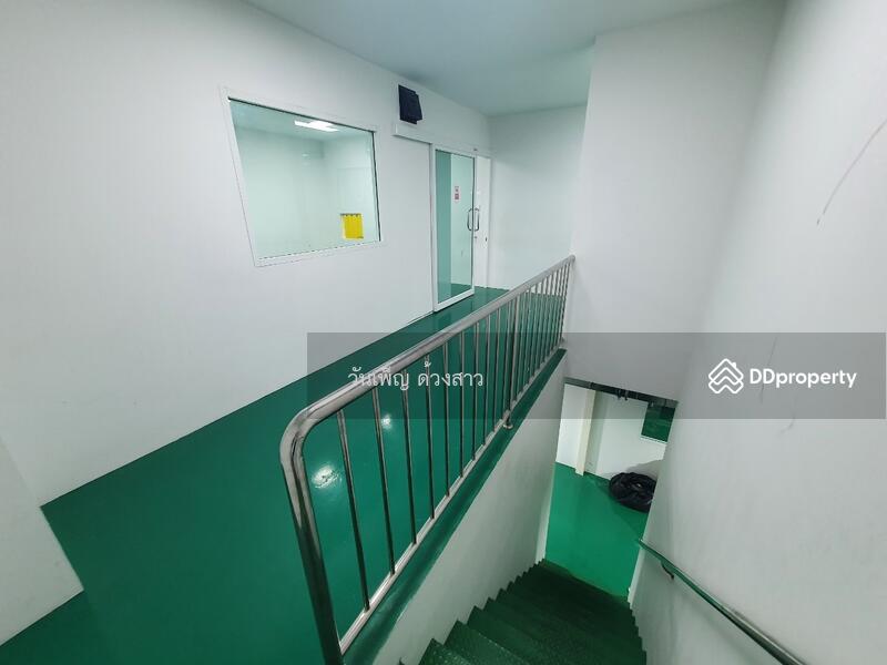 โครงการบิ๊กเกอร์แลนด์ ลำลูกกาคลอง 9 เฟส 3, Pathum Thani, Lam Luk Ka, Pathum Thani, , 1,000 sqm, Warehouse/Factory For Rent, by วันเพ็ญ ด้วงสาว, 11452574 - DDproperty.com