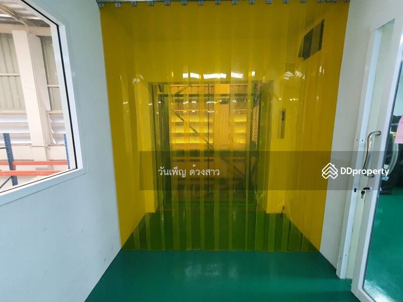 โครงการบิ๊กเกอร์แลนด์ ลำลูกกาคลอง 9 เฟส 3, Pathum Thani, Lam Luk Ka, Pathum Thani, , 1,000 sqm, Warehouse/Factory For Rent, by วันเพ็ญ ด้วงสาว, 11452574 - DDproperty.com