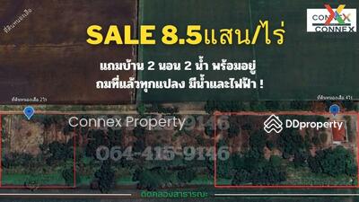 ขาย - ที่ดินหนองเสือ คลอง10, ปทุมธานี