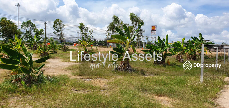 Pattaya Land 20-0-49 Rai infront of Sukhumvit road between Najom Tien soi 8&10 Sale 30 Million, chon-buri, 10 สุุขุมวิท, Na Chom Thian, Sattahip, Chon Buri (Pattaya), , 32,196 sqm, Land For Sale, by Surasak Satho, 11453772 - DDproperty.com