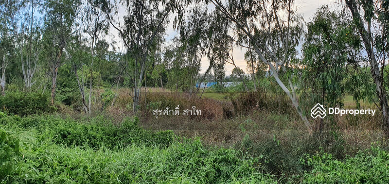 Pattaya Land 20-0-49 Rai infront of Sukhumvit road between Najom Tien soi 8&10 Sale 30 Million, chon-buri, 10 สุุขุมวิท, Na Chom Thian, Sattahip, Chon Buri (Pattaya), , 32,196 sqm, Land For Sale, by Surasak Satho, 11453772 - DDproperty.com