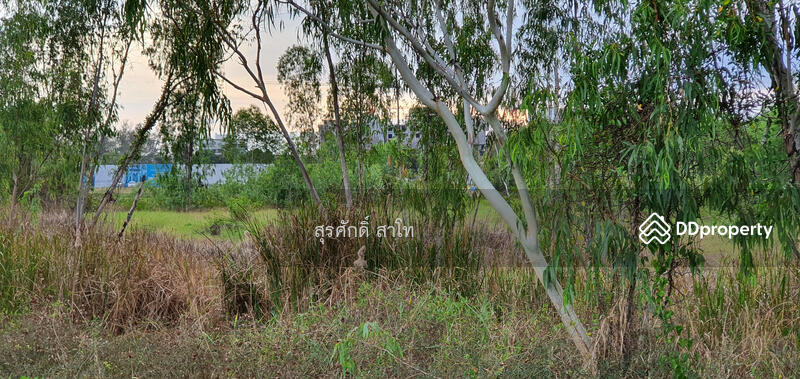 Pattaya Land 20-0-49 Rai infront of Sukhumvit road between Najom Tien soi 8&10 Sale 30 Million, chon-buri, 10 สุุขุมวิท, Na Chom Thian, Sattahip, Chon Buri (Pattaya), , 32,196 sqm, Land For Sale, by Surasak Satho, 11453772 - DDproperty.com