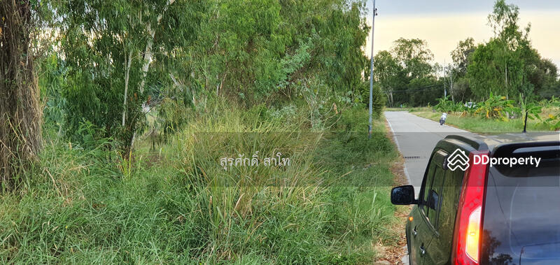 Pattaya Land 20-0-49 Rai infront of Sukhumvit road between Najom Tien soi 8&10 Sale 30 Million, chon-buri, 10 สุุขุมวิท, Na Chom Thian, Sattahip, Chon Buri (Pattaya), , 32,196 sqm, Land For Sale, by Surasak Satho, 11453772 - DDproperty.com