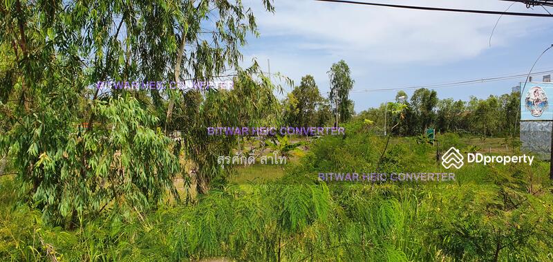 Pattaya Land 20-0-49 Rai infront of Sukhumvit road between Najom Tien soi 8&10 Sale 30 Million, chon-buri, 10 สุุขุมวิท, Na Chom Thian, Sattahip, Chon Buri (Pattaya), , 32,196 sqm, Land For Sale, by Surasak Satho, 11453772 - DDproperty.com