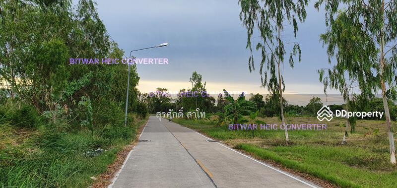 Pattaya Land 20-0-49 Rai infront of Sukhumvit road between Najom Tien soi 8&10 Sale 30 Million, chon-buri, 10 สุุขุมวิท, Na Chom Thian, Sattahip, Chon Buri (Pattaya), , 32,196 sqm, Land For Sale, by Surasak Satho, 11453772 - DDproperty.com