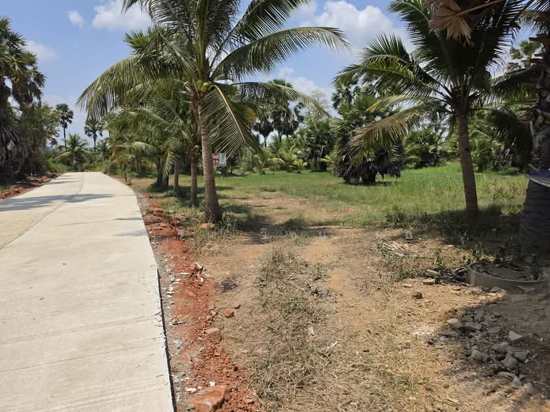 Beautiful land for Sales in Pranburi only 8 kms. to the beach, Prachuap Khiri Khan, Pran Buri, Pran Buri, Prachuap Khiri Khan, , 2,140 sqm, Land For Sale, by สาริน วิชยากูล, 11454607 - DDproperty.com