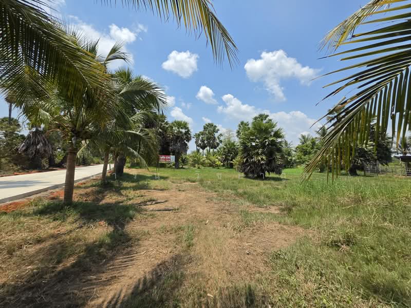 ที่ดินสวยเมืองปราณบุรี 8 กม ถึงทะเล, ประจวบคีรีขันธ์, ปราณบุรี, ปราณบุรี, ประจวบคีรีขันธ์, 2,140 ตร.ม., ที่ดิน ขาย, โดย สาริน วิชยากูล, 11454607 - DDproperty.com