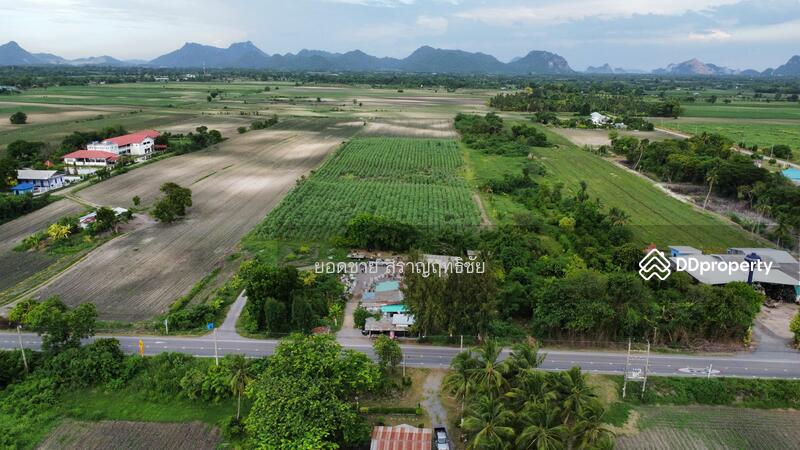 ขาย - ขายที่ดิน 25 ไร่ ริมถนนซอยพิบูลย์อนุสรณ์ พระพุทธบาท สระบุรี 15 ล้านบาท, สระบุรี