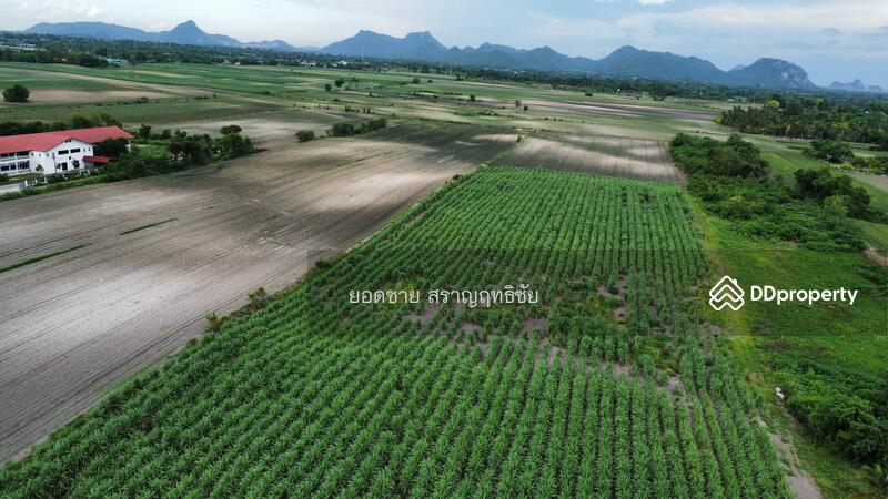 ขาย - ขายที่ดิน 25 ไร่ ริมถนนซอยพิบูลย์อนุสรณ์ พระพุทธบาท สระบุรี 15 ล้านบาท, สระบุรี