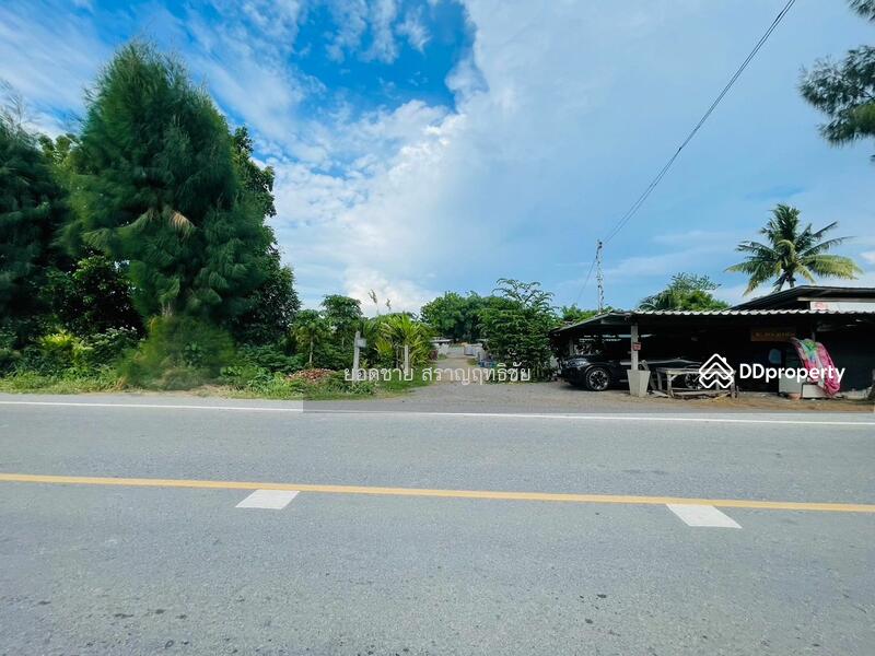 ขาย - ขายที่ดิน 25 ไร่ ริมถนนซอยพิบูลย์อนุสรณ์ พระพุทธบาท สระบุรี 15 ล้านบาท, สระบุรี
