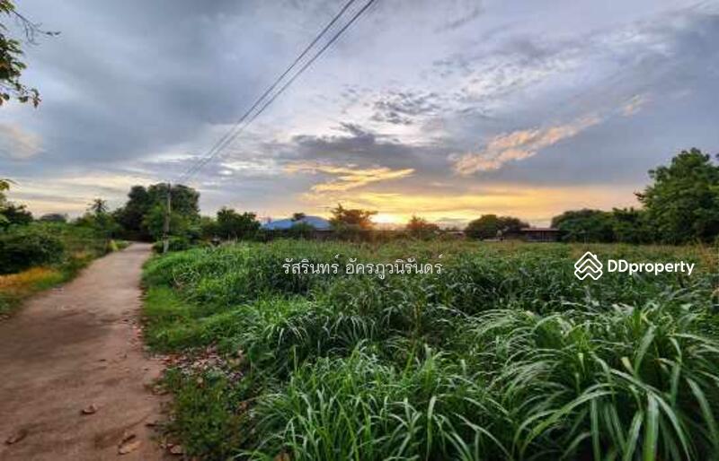 ขาย - เมืองพิจิตร, พิจิตร