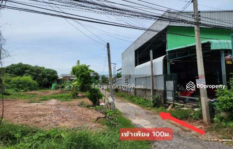 ขาย - เมืองพิจิตร, พิจิตร