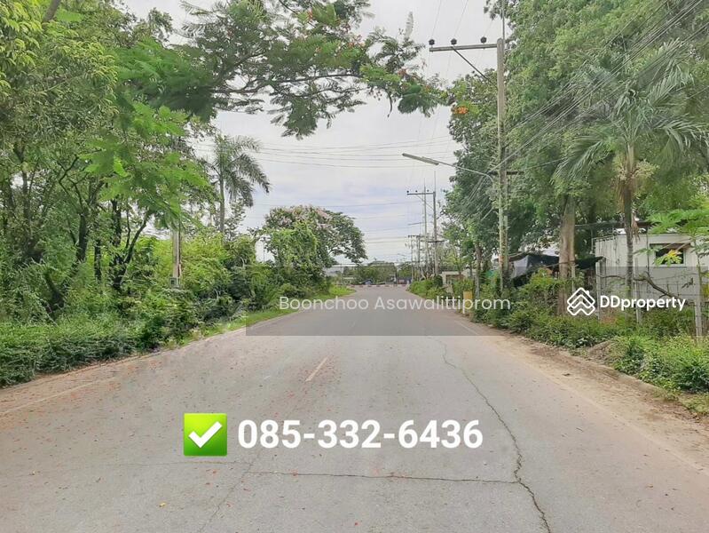 ขาย - ขายที่ดินเปล่า 140 ตรว. แปลงสวย แปลงหัวมุมติดถนน 2 ด้าน, นครปฐม