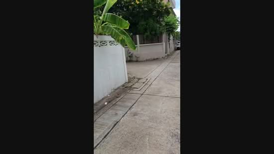 MRTบางซ่อน 1.5 กม. ประชาชื่น 2-6, Bangkok, 1 รัชดา อารีย์, Bang Sue, Bangkok, 3 Bedrooms, 210 sqm, Single Detached House For Rent, by ณัฐพงศ์ สุนทรอรุณ, 11458177 - DDproperty.com