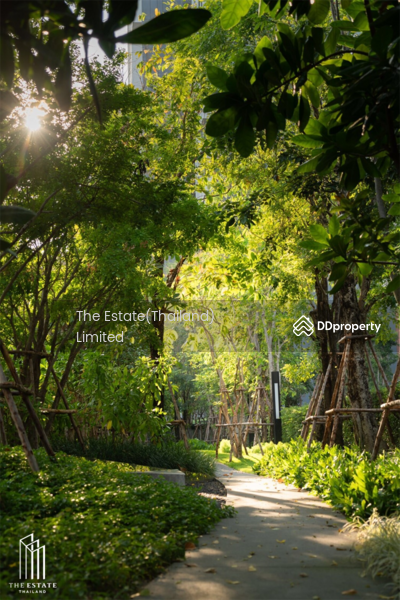 Whizdom Inspire Sukhumvit : วิซดอม อินสปาย สุขุมวิท, กรุงเทพ, ถนนสุขุมวิท, บางจาก, พระโขนง, กรุงเทพ, 51 ตร.ม., คอนโด ให้เช่า, โดย The Estate(Thailand)  Limited, 11458208 - DDproperty.com