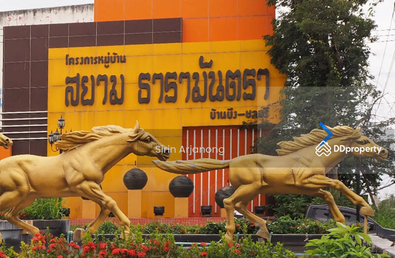 Land for Sale at Ban Bueng, Chon Buri *below appraisal*, Chon Buri (Pattaya), ถนนชลบุรี-บ้านบึง, Ban Bung, Ban Bung, Chon Buri (Pattaya), , 326 sqm, Land For Sale, by Sirin Arjanong, 11458299 - DDproperty.com