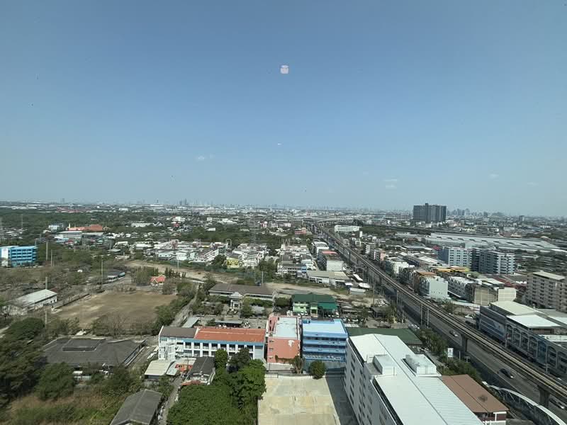 Aspire Erawan Prime, Samut Prakan, Sukhumvit Road, Pak Nam, Muang Samut Prakarn, Samut Prakan, 1 Bedroom, 35 sqm, Condo For Rent, by เชอ พร็อพ, 11458967 - DDproperty.com