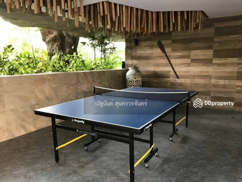 The Riviera Wongamat, Chon Buri (Pattaya), Na Kluea 16 Alley, Na Kloe, Bang Lamung (Pattaya), Chon Buri (Pattaya), 2 Bedrooms, 70 sqm, Condo For Rent, by ณัฐนันท์ สุนทรวรจันทร์, 11458989 - DDproperty.com