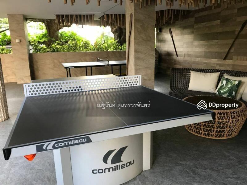 The Riviera Wongamat, Chon Buri (Pattaya), Na Kluea 16 Alley, Na Kloe, Bang Lamung (Pattaya), Chon Buri (Pattaya), 2 Bedrooms, 70 sqm, Condo For Rent, by ณัฐนันท์ สุนทรวรจันทร์, 11458989 - DDproperty.com