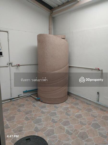 Six Nature Phetkasem 69, Bangkok, Petchkasem 69 Road, Nong Kang Plu, Nong Khaem, Bangkok, 3 Bedrooms, 204 sqm, Townhouse For Rent, by Chantra Wongyaofa, 11461111 - DDproperty.com
