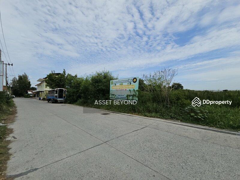 ขาย ที่ดินซอยเทศบาลบางปู 91 บางปูใหม่ แพรกษา, สมุทรปราการ, บางปูใหม่, เมืองสมุทรปราการ, สมุทรปราการ, 4,002 ตร.ม., ที่ดิน ขาย, โดย Khun Korn, 11461241 - DDproperty.com
