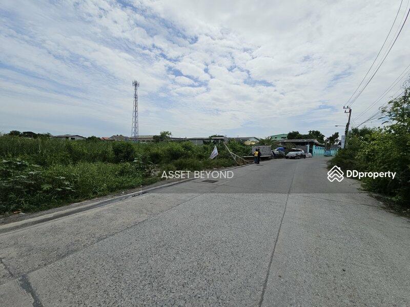 ขาย ที่ดินซอยเทศบาลบางปู 91 บางปูใหม่ แพรกษา, สมุทรปราการ, บางปูใหม่, เมืองสมุทรปราการ, สมุทรปราการ, 4,002 ตร.ม., ที่ดิน ขาย, โดย Khun Korn, 11461241 - DDproperty.com