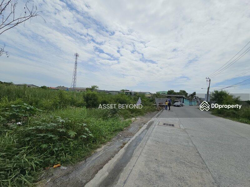 ขาย ที่ดินซอยเทศบาลบางปู 91 บางปูใหม่ แพรกษา, สมุทรปราการ, บางปูใหม่, เมืองสมุทรปราการ, สมุทรปราการ, 4,002 ตร.ม., ที่ดิน ขาย, โดย Khun Korn, 11461241 - DDproperty.com