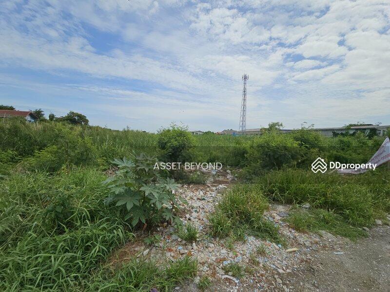 ขาย ที่ดินซอยเทศบาลบางปู 91 บางปูใหม่ แพรกษา, สมุทรปราการ, บางปูใหม่, เมืองสมุทรปราการ, สมุทรปราการ, 4,002 ตร.ม., ที่ดิน ขาย, โดย Khun Korn, 11461241 - DDproperty.com