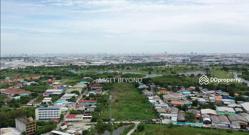 ขาย ที่ดินซอยเทศบาลบางปู 91 บางปูใหม่ แพรกษา, สมุทรปราการ, บางปูใหม่, เมืองสมุทรปราการ, สมุทรปราการ, 4,002 ตร.ม., ที่ดิน ขาย, โดย Khun Korn, 11461241 - DDproperty.com