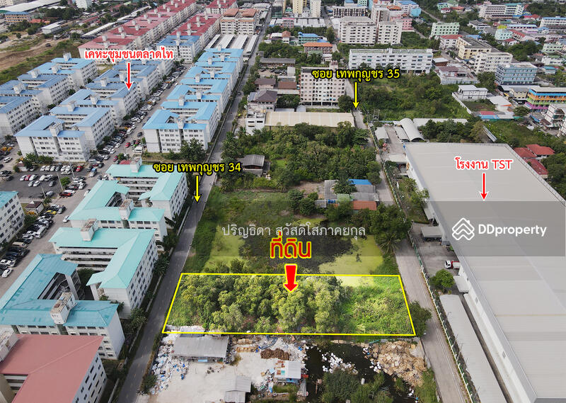 ที่ดิน ซอยเทพกุญชร 34 บ้านเอื้ออาทร ตลาดไท คลองหลวง, ปทุมธานี, เทพกุญชร, คลองหนึ่ง, คลองหลวง, ปทุมธานี, 1,600 ตร.ม., ที่ดิน ขาย, โดย ปริญธิดา สวัสดิโสภาคยกุล, 11461390 - DDproperty.com