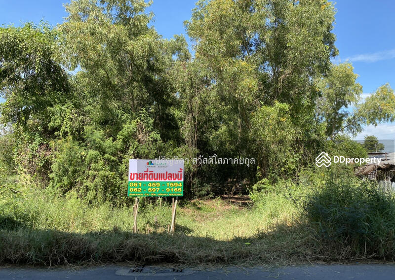 Land in Soi Thepkunchorn 34, Baan Eua-Athorn, Talat Thai, Khlong Luang, Pathum Thani, เทพกุญชร, Khlong Nung, Khlong Luang, Pathum Thani, , 1,600 sqm, Land For Sale, by Parinthida Sawuddisopakaykul, 11461390 - DDproperty.com