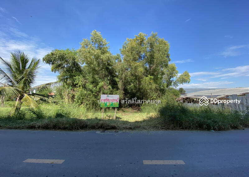 ที่ดิน ซอยเทพกุญชร 34 บ้านเอื้ออาทร ตลาดไท คลองหลวง, ปทุมธานี, เทพกุญชร, คลองหนึ่ง, คลองหลวง, ปทุมธานี, 1,600 ตร.ม., ที่ดิน ขาย, โดย ปริญธิดา สวัสดิโสภาคยกุล, 11461390 - DDproperty.com