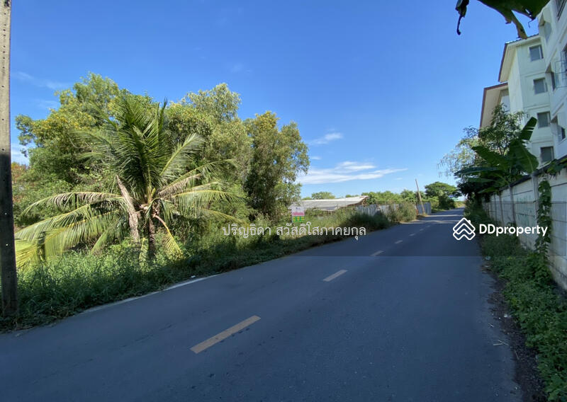 Land in Soi Thepkunchorn 34, Baan Eua-Athorn, Talat Thai, Khlong Luang, Pathum Thani, เทพกุญชร, Khlong Nung, Khlong Luang, Pathum Thani, , 1,600 sqm, Land For Sale, by Parinthida Sawuddisopakaykul, 11461390 - DDproperty.com