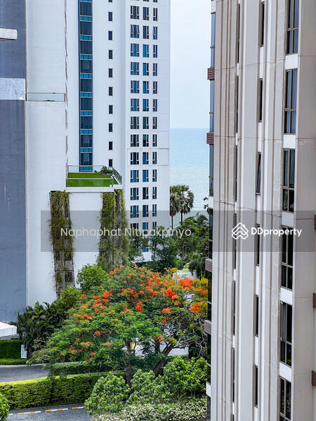 Serenity Wongamat Condo, Chon Buri (Pattaya), 286 10 Na Kluea 16 Alley, Na Kloe, Bang Lamung (Pattaya), Chon Buri (Pattaya), Studio, 23 sqm, Condo For Sale, by Naphaphat Nitipakpinyo, 11461975 - DDproperty.com