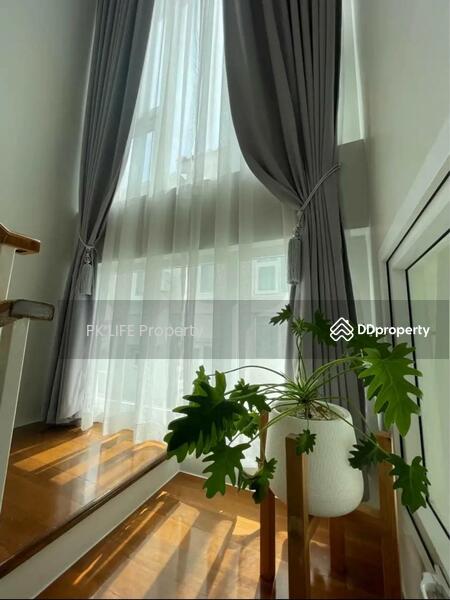 11R0356 This house for rent 4bedroom 3bathroom 90,000/month at kohkaew have fully furnished, Phuket, Ko Kaeo, Muang Phuket, Phuket, 4 Bedrooms, 200 sqm, Single Detached House For Rent, by PK LIFE Property, 11462048 - DDproperty.com