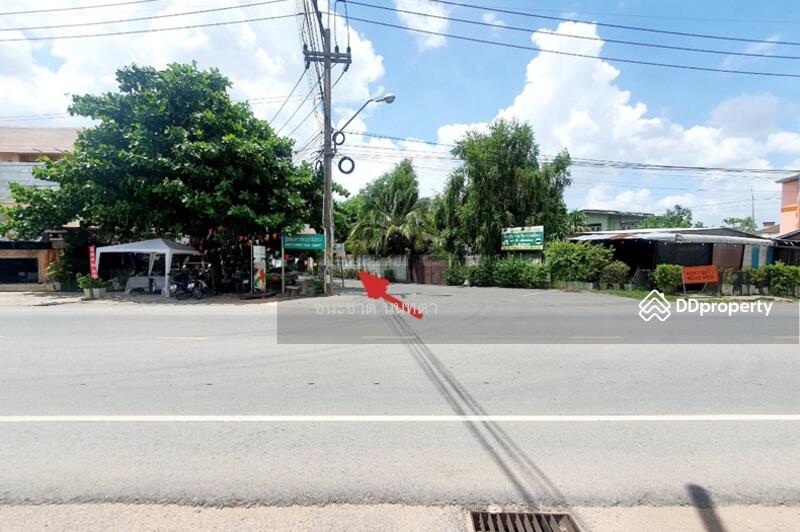 ที่ดินเปล่า ชุมชนโครงการโคราชคฤหาสน์ทอง, นครราชสีมา, มิตรภาพ, ในเมือง, เมืองนครราชสีมา, นครราชสีมา, 2,314 ตร.ม., ที่ดิน ขาย, โดย ชนะชาติ นนท์ตา, 11462135 - DDproperty.com
