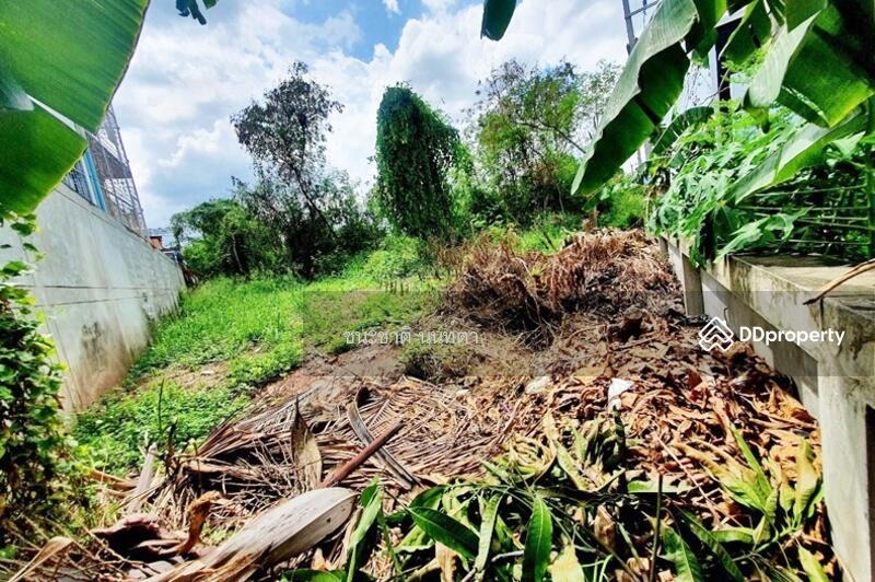 ที่ดินเปล่า ชุมชนโครงการโคราชคฤหาสน์ทอง, Nakhon Ratchasima, มิตรภาพ, Nai Muang, Muang Nakhon Ratchasima, Nakhon Ratchasima, , 2,314 sqm, Land For Sale, by ชนะชาติ นนท์ตา, 11462135 - DDproperty.com