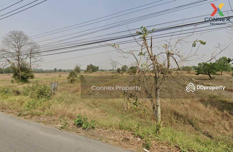 For Sale - Vacant land 12 rai 1 ngan 55.20 sq m., Khon Kaen