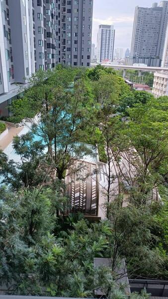 Life Sathorn Sierra, Bangkok, Ratchaphruek Rd, Talat Plu, Thon Buri, Bangkok, 1 Bedroom, 33 sqm, Condo For Sale, by Amwika Karoonsombat, 11463054 - DDproperty.com