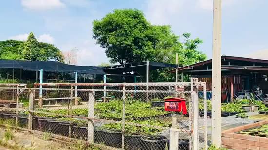 ที่ดินบางใหญ่ นนทบุรี, นนทบุรี, เลียบคลองประปามหาสวัสดิ์, บางใหญ่, บางใหญ่, นนทบุรี, 14,892 ตร.ม., ที่ดิน ขาย, โดย ภวดล, 11463890 - DDproperty.com