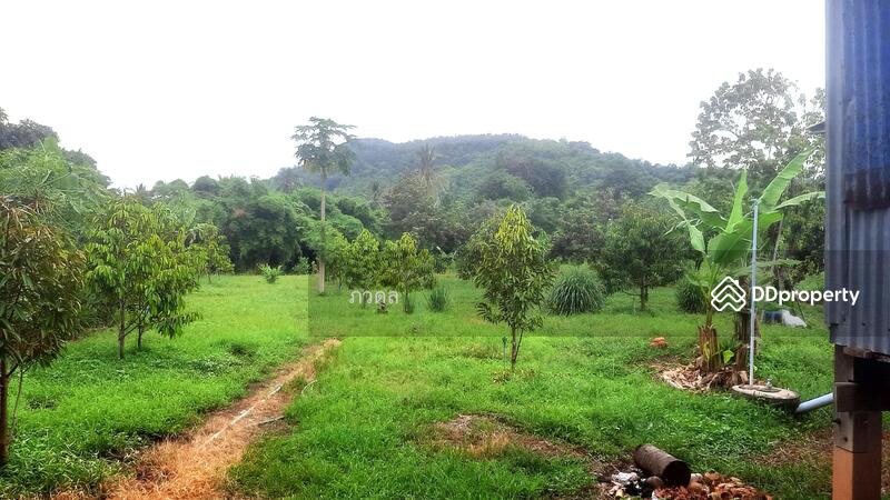 For Sale - หล่มสัก, Phetchabun