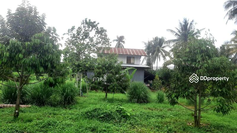 For Sale - หล่มสัก, Phetchabun