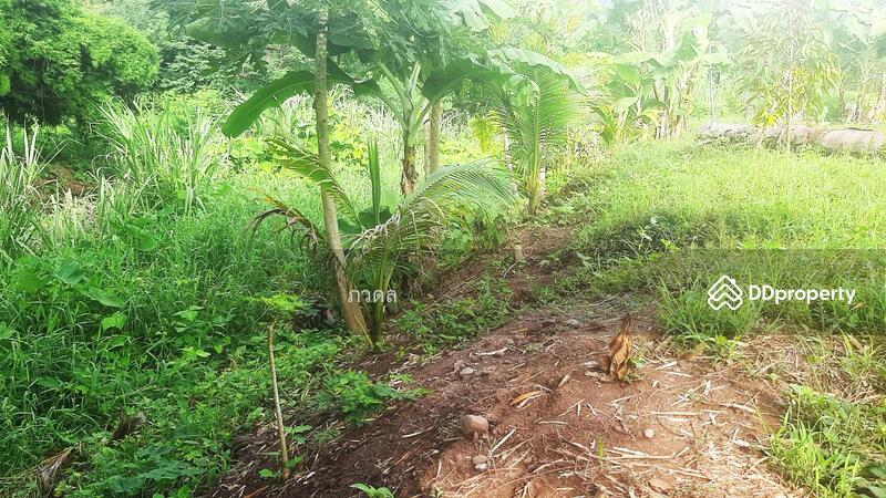 For Sale - หล่มสัก, Phetchabun