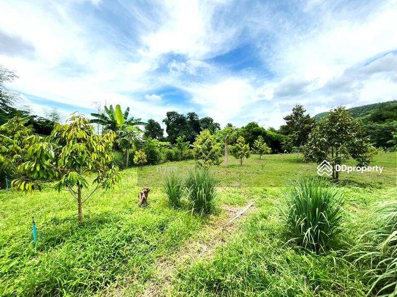 For Sale - หล่มสัก, Phetchabun