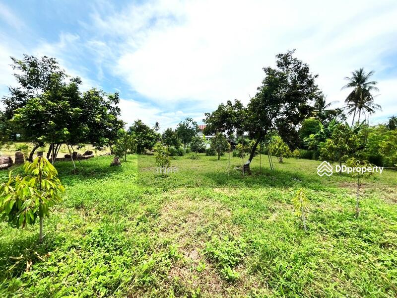 For Sale - หล่มสัก, Phetchabun