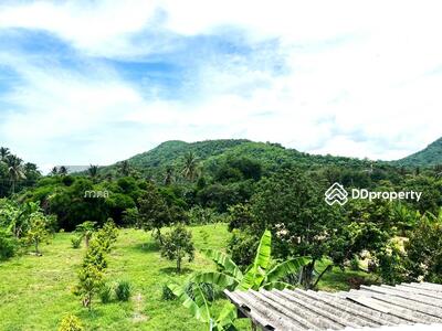 ขาย - หล่มสัก, เพชรบูรณ์