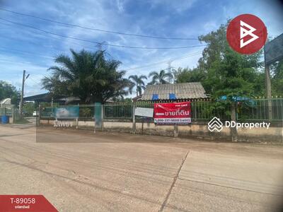 ขาย - บ้านเดี่ยวพร้อมที่ดินหนองบัว อุดรธานี, อุดรธานี