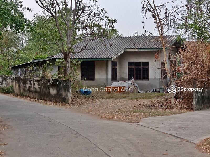 ขาย - บ้านปูน 1 ชั้น L4_8_0329_G01, นครราชสีมา