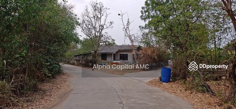 ขาย - บ้านปูน 1 ชั้น L4_8_0329_G01, นครราชสีมา